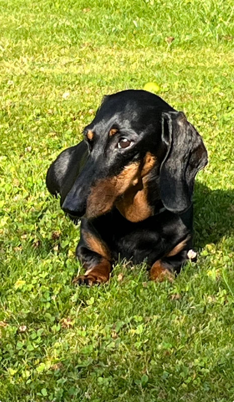 [Image: IMG-20240802-WA0004.jpg]