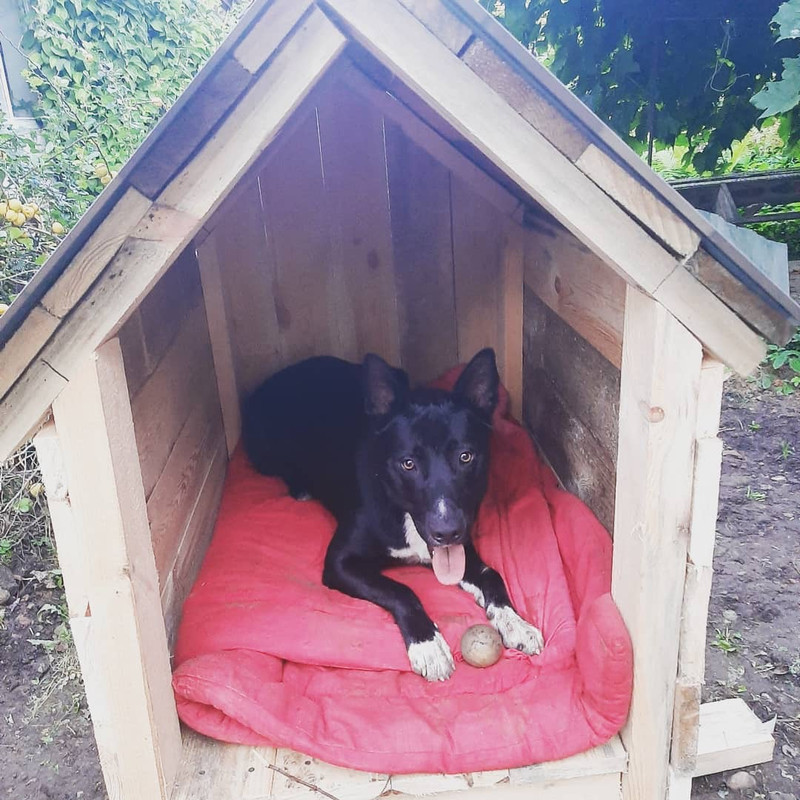 4ECE9193-797A-4A07-A0C7-FD7DAE8C386E