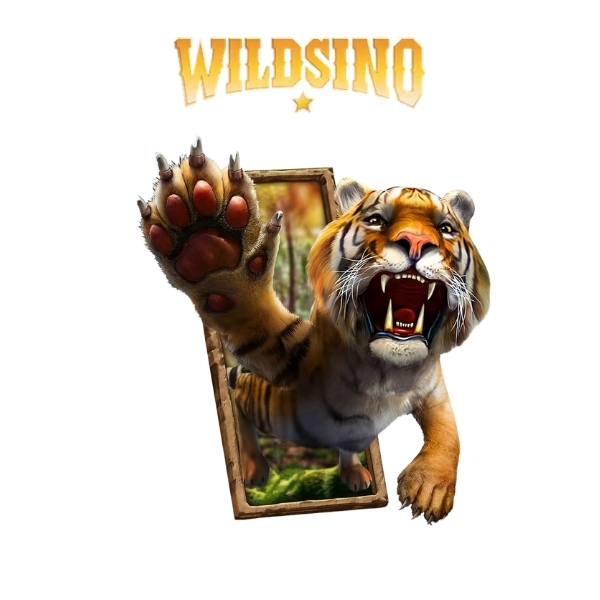 Wildsino Bewertung