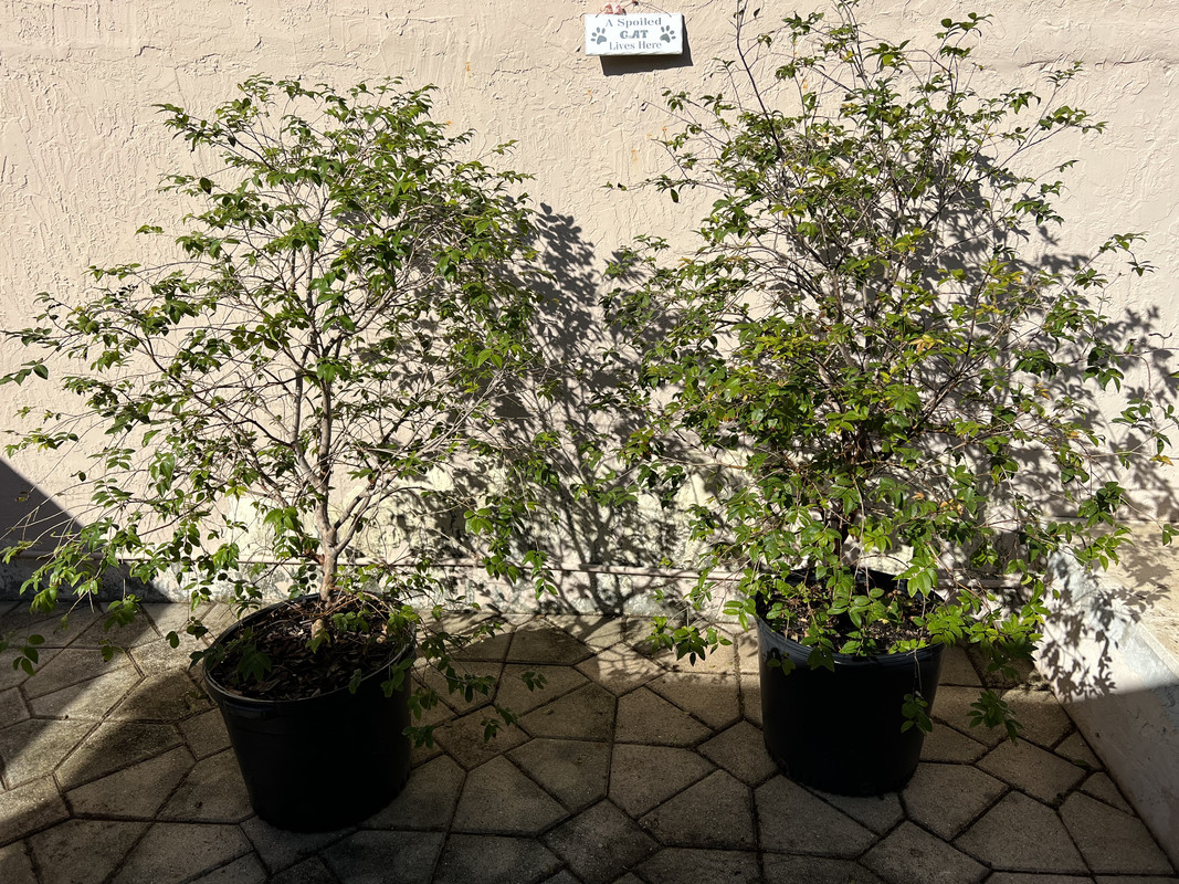 7BD03F94-158D-4006-A50D-21B577145FAA