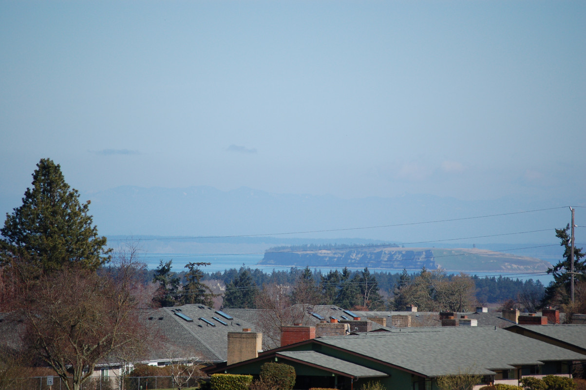 [Image: DSC-0004.jpg]