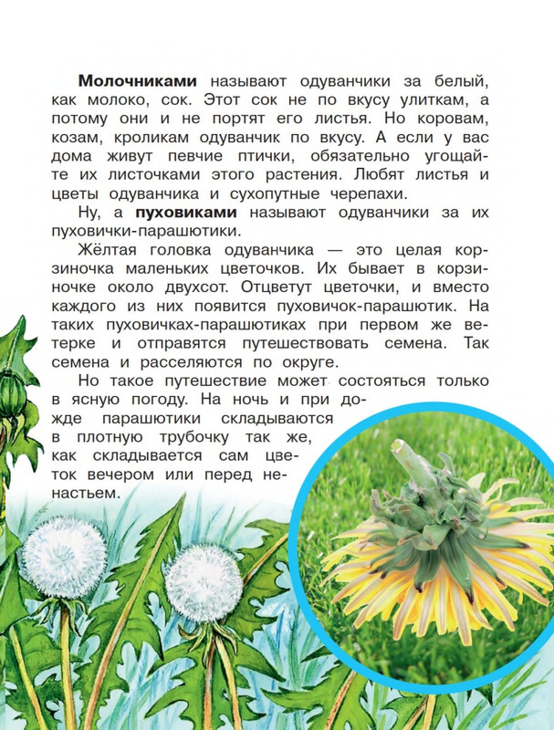 Onegov-Anatolij-Pochemu-kukushka-slozki-lot-page-0010