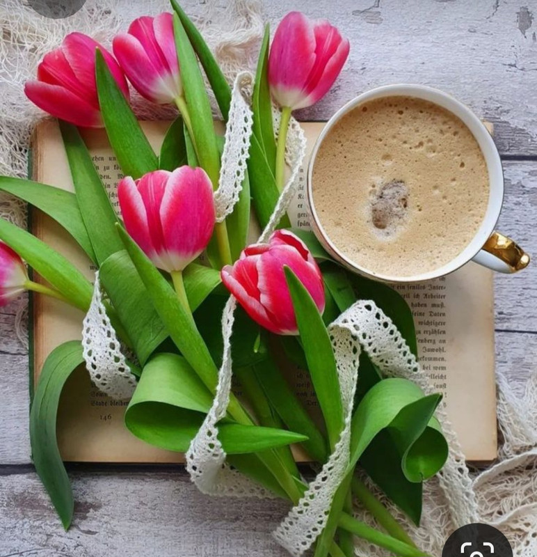 Screenshot_20230717_220020_Pinterest