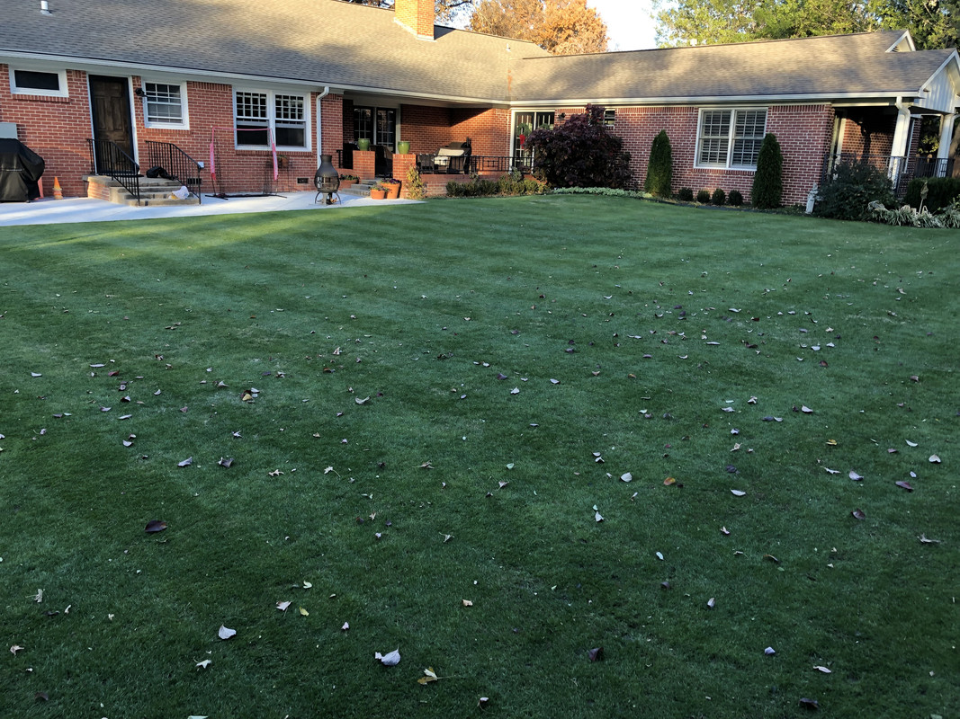 4971325D-A2F4-4299-B4E6-B19B2B217DE0