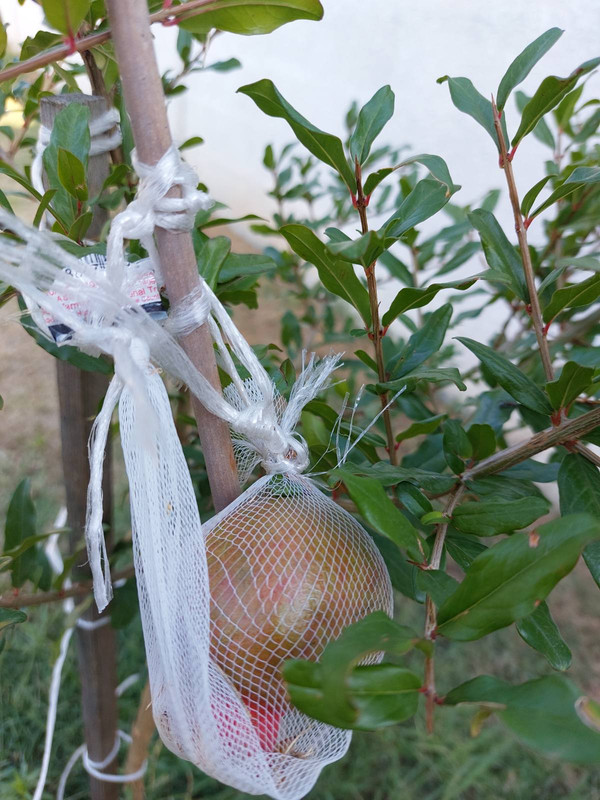 0-02-05-23d7a036c0300d424ea2ebe5785949d5809ddb2827f06443914b43bb717f86a2_ebf0df0ad507ac91