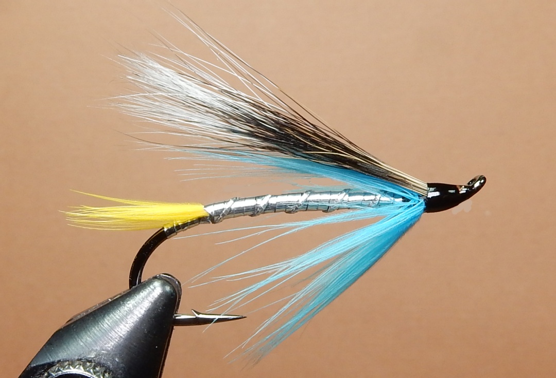 Silver-Blue-1080.jpg