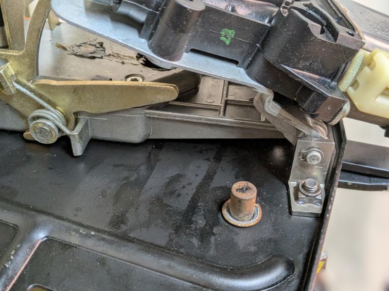 PXL_20241224_191601370.PORTRAIT