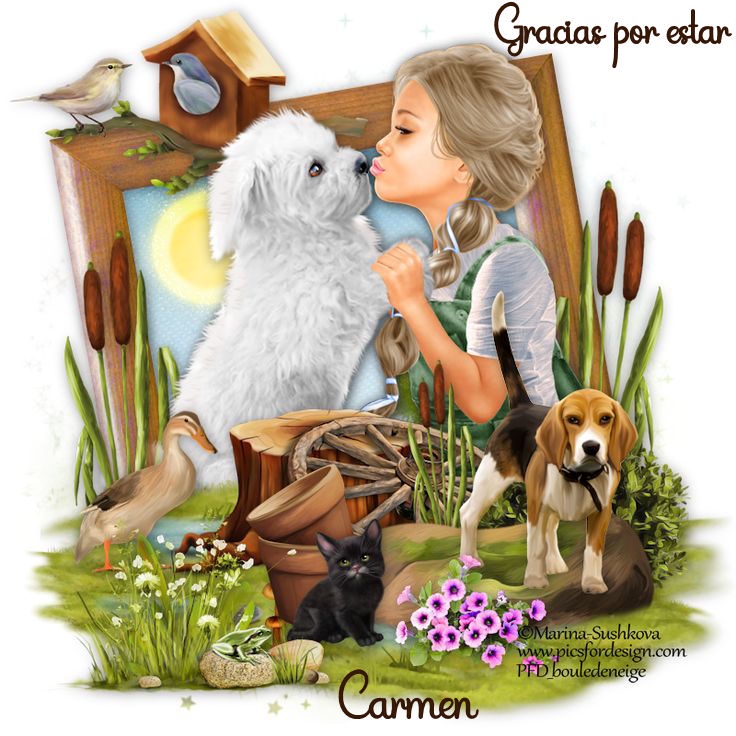 APOR NIÑA GATO PERRO