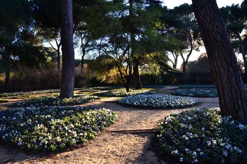 PARQUE EL CAPRICHO-2013-2022-MADRID - Paseando por España-1991/2016 (77)