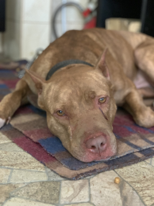 08E13DE0-20BD-46A2-8C1F-E4043BF94E3C