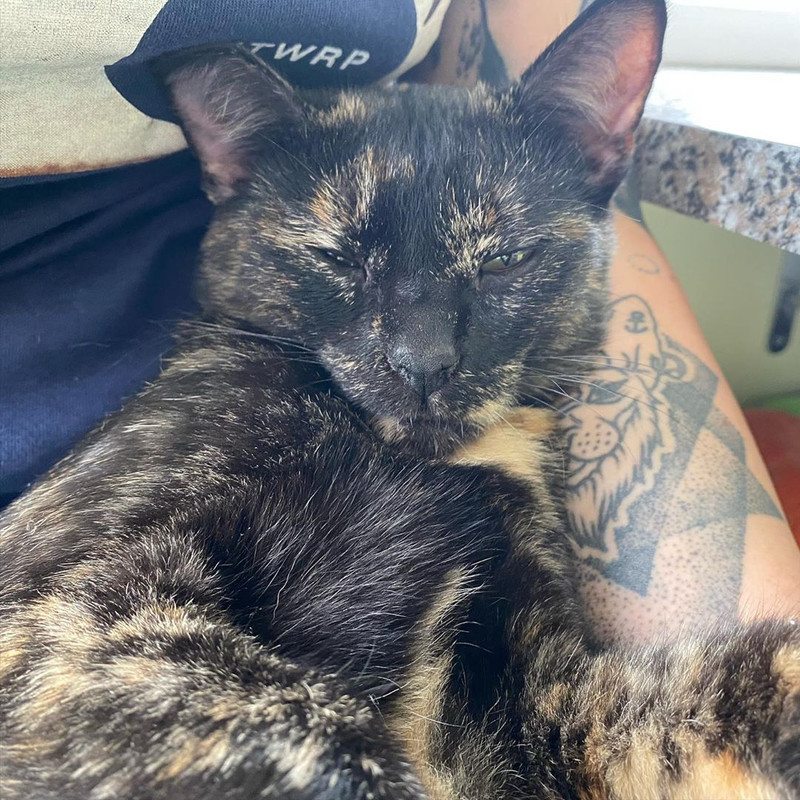 F940D9FE-577D-4BB8-8B9E-E6DB2C78D026