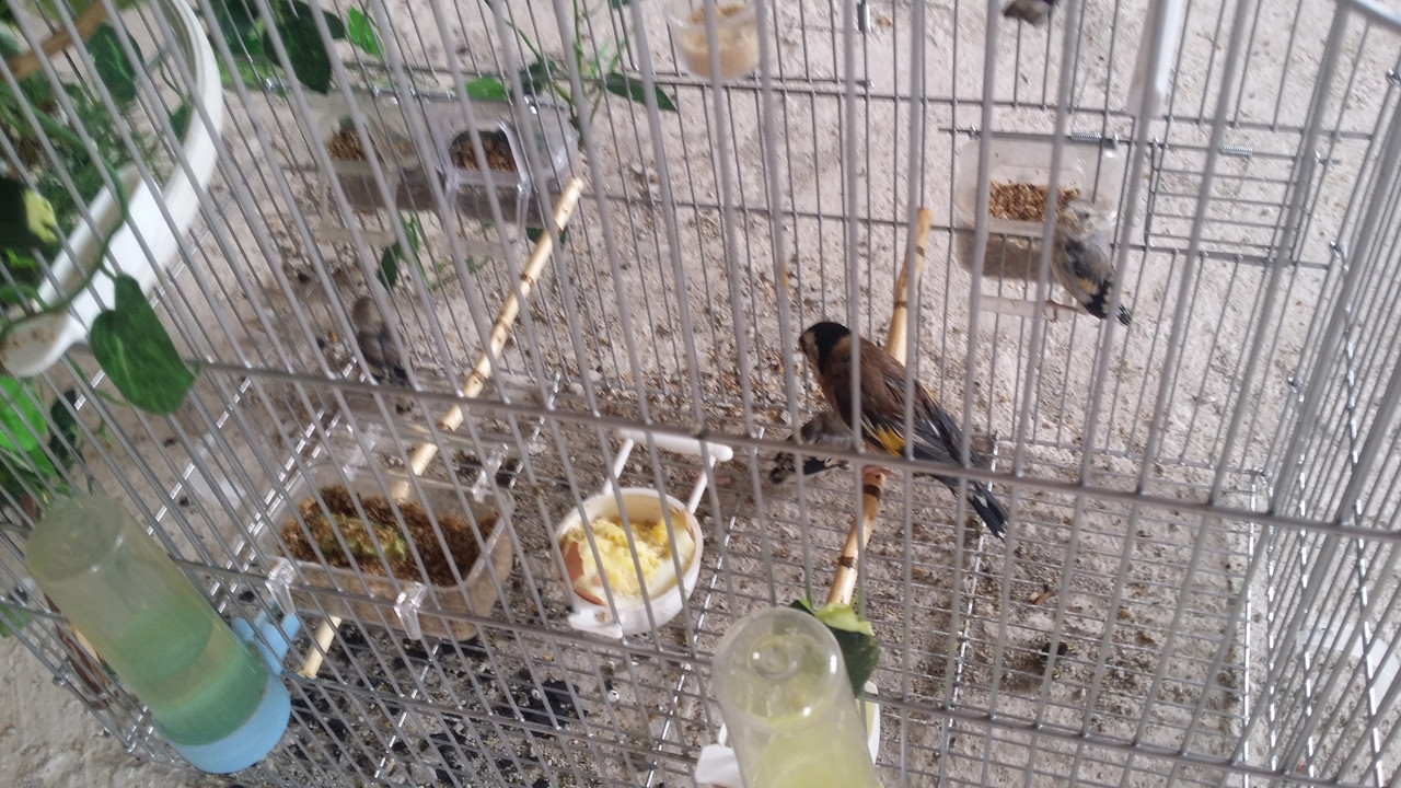 20180704_103239