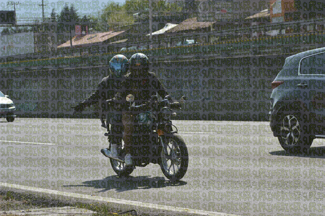 DSC 0140