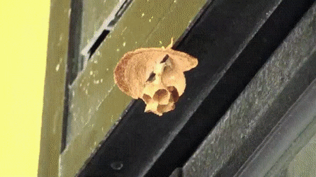 GIFs-16