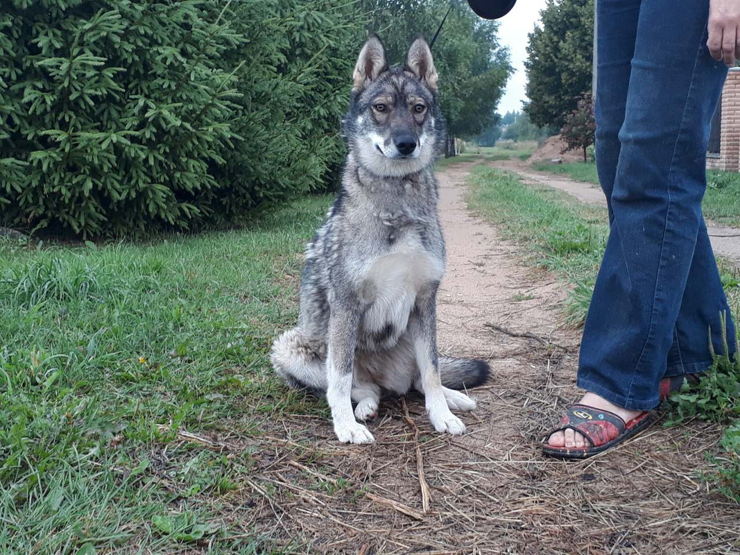 изображение_viber_2019-07-22_22-30-26