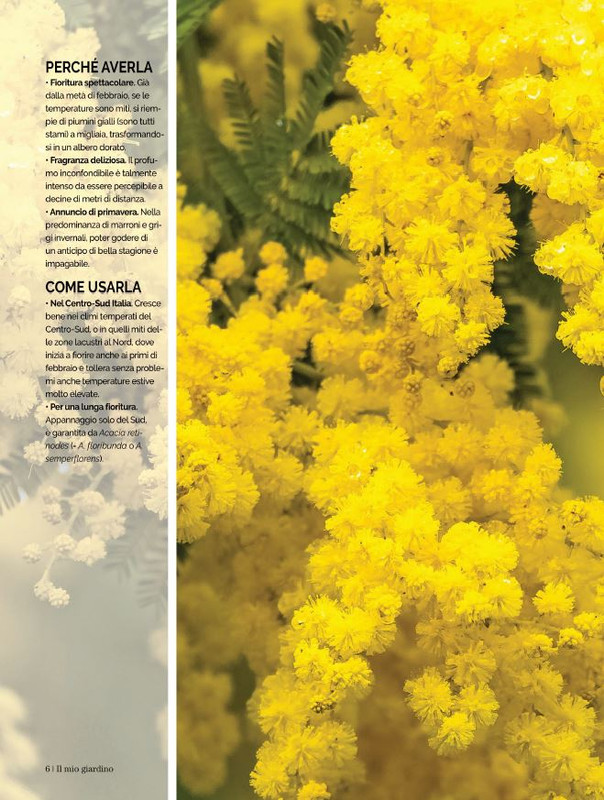 Il Mio Giar Feb-Mar 2022 (1)