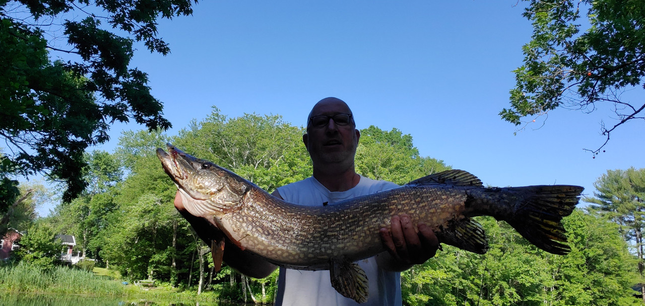 Pike5