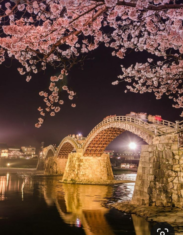 Screenshot_20231011_135405_Pinterest