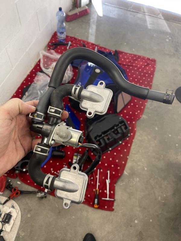 4E47240A-4ABE-4AA7-8110-2F9CEB20A36A