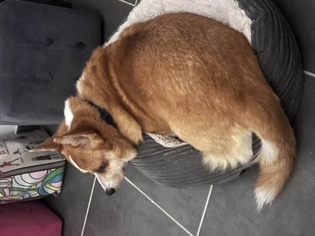 [Image: 46220-A54-1-C60-40-A7-A21-B-F34228-F53819.jpg]