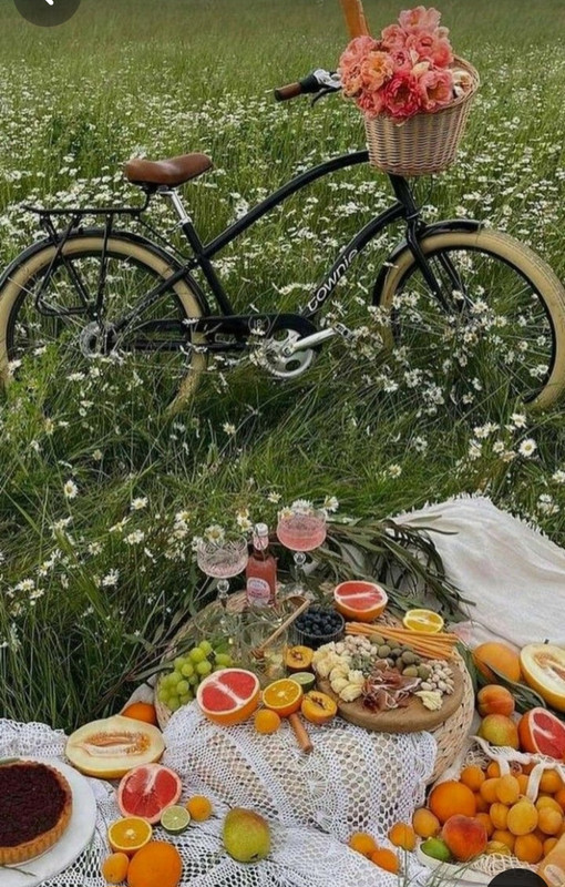 Screenshot_20240609_145002_Pinterest