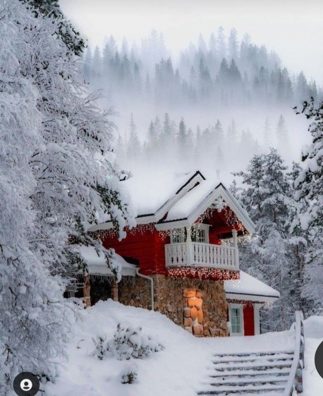 Screenshot_20231123_205143_Pinterest