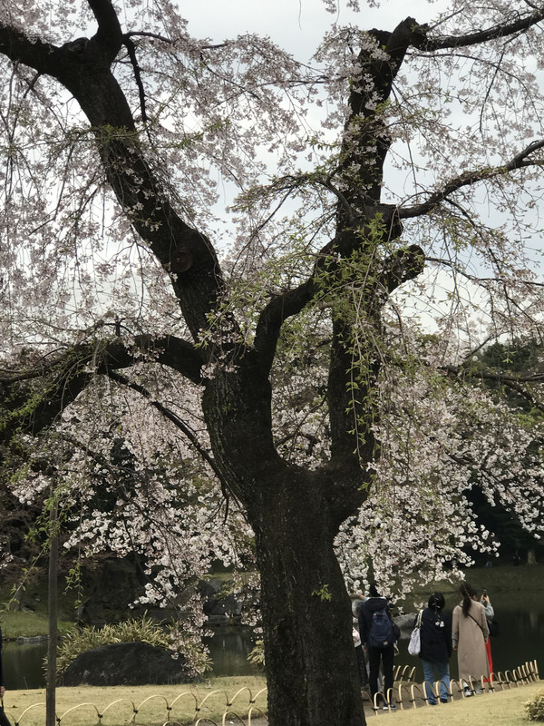 23A5A789-DF8D-462A-8180-038B5EC6FEF1