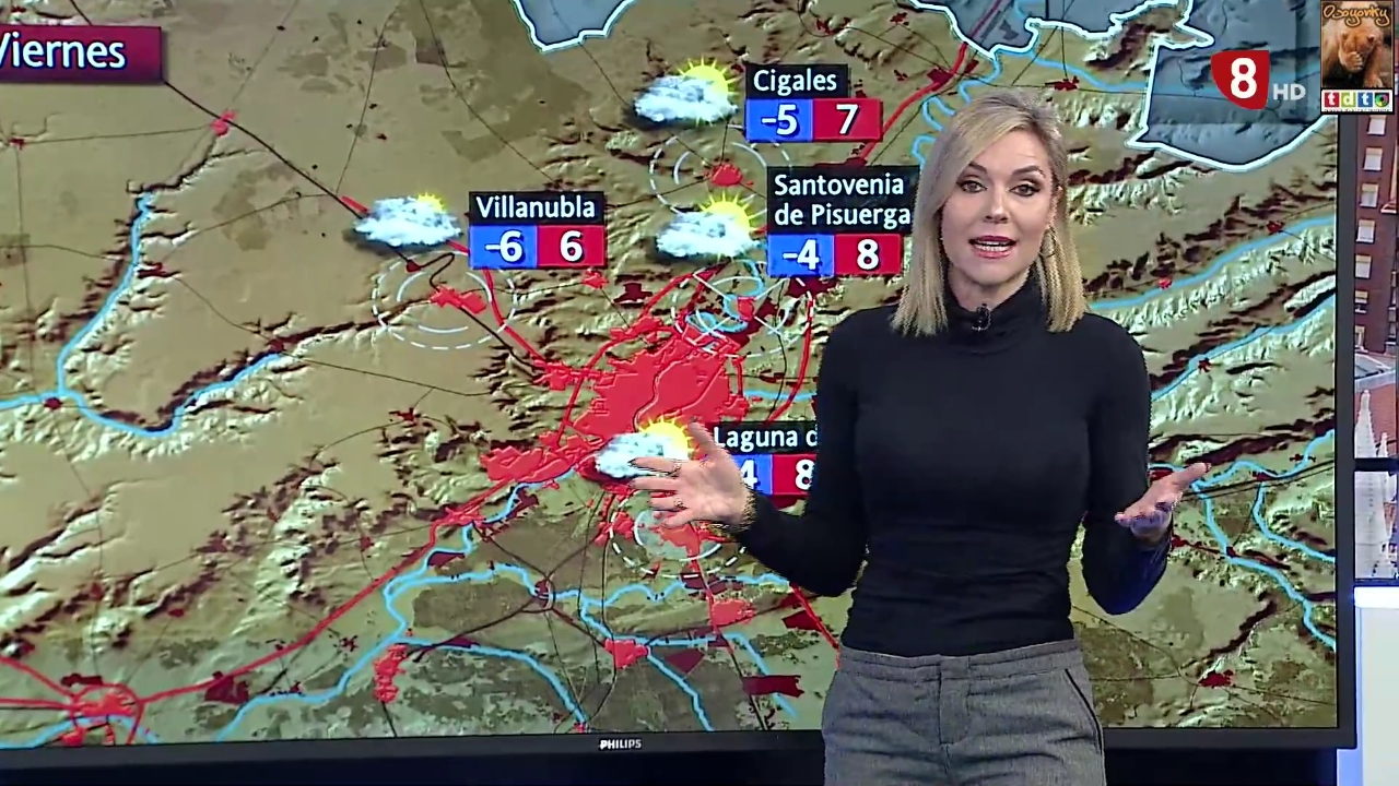 becariavariosculete_oso455sss