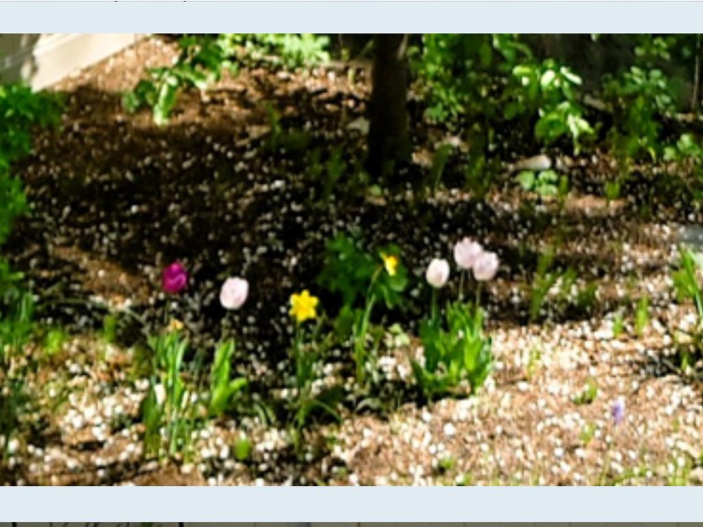 [Image: IMG-4073.jpg]