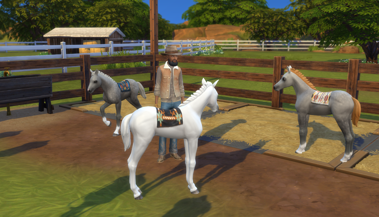 ranch-hand-with-3-foals.png