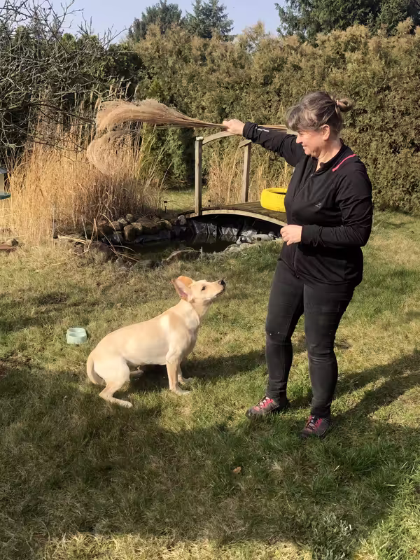 9E141721-F52F-4443-B5F5-17D99D29B12C