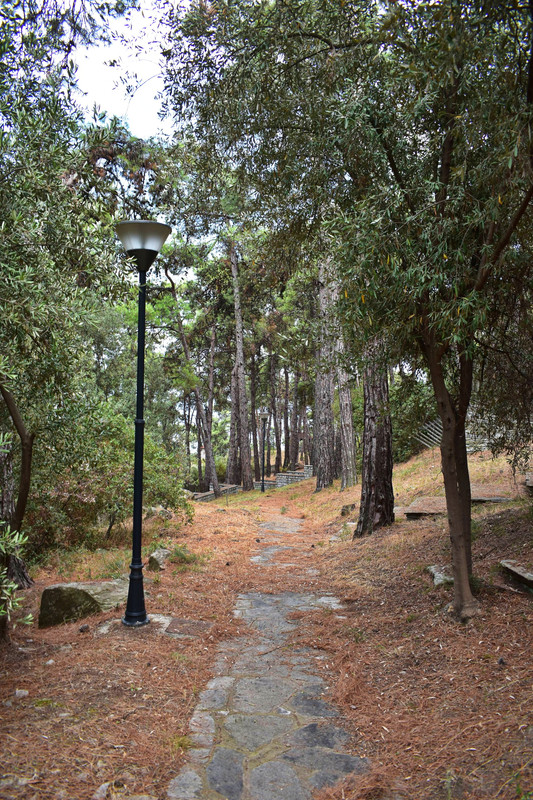 Άλσος της Παναγούδας (10)