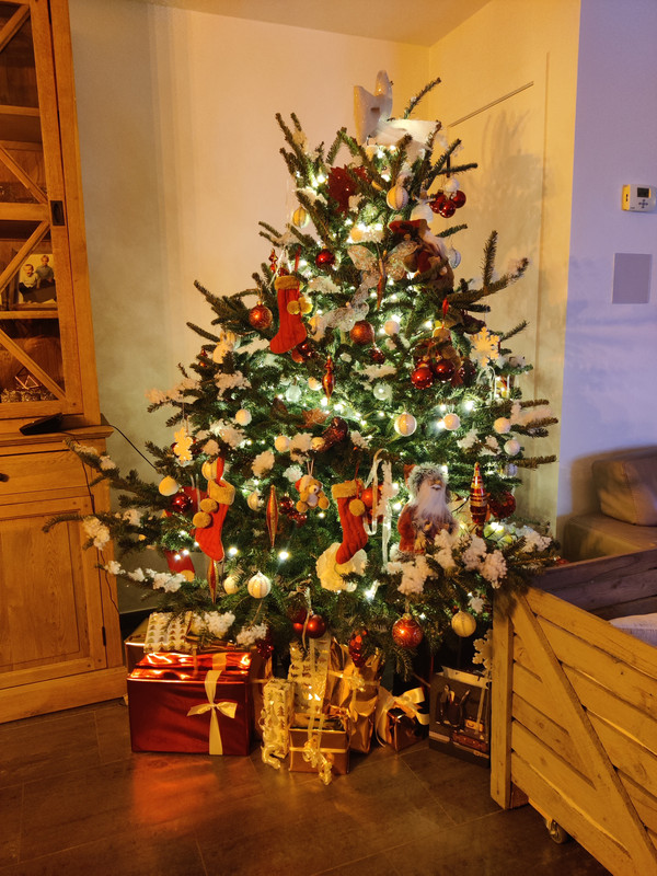 IMG-20201212-195640.jpg