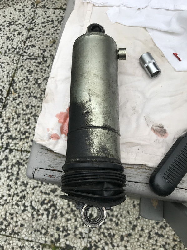 C0F78557-D710-4F0B-8FC4-30E16BB90966