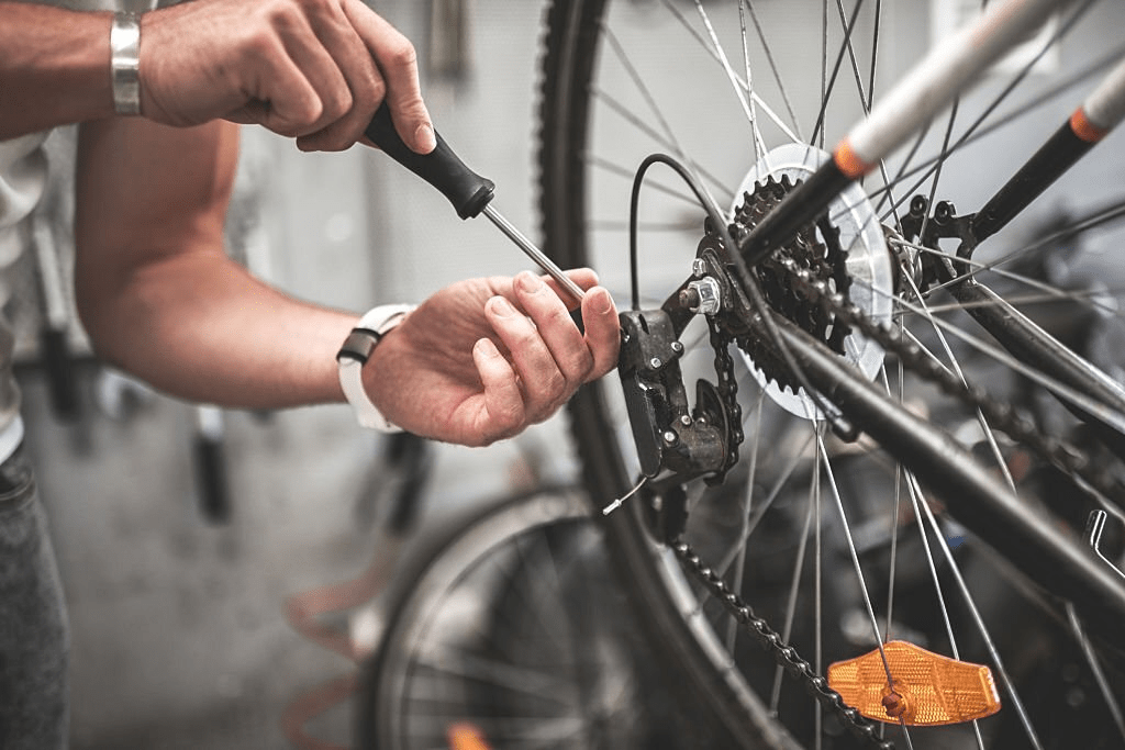 Rutas ciclísticas