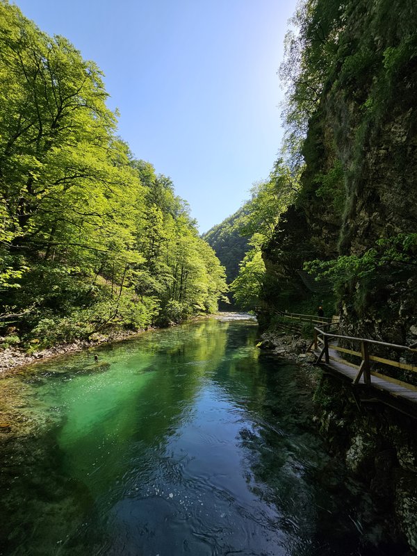 Slika