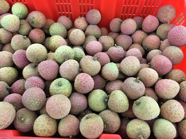 A5B193B3-4DE6-4C25-8F82-52BEF34C91B8