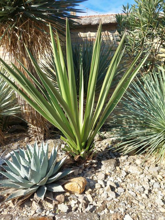 549b40ab 36e9 4293 9f56 d97ef4e3431b