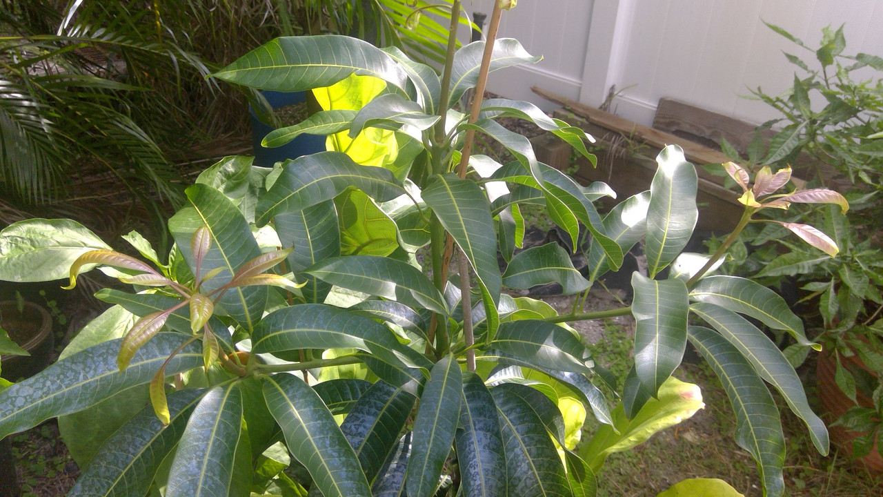 WIN_20190812_09_56_47_Pro