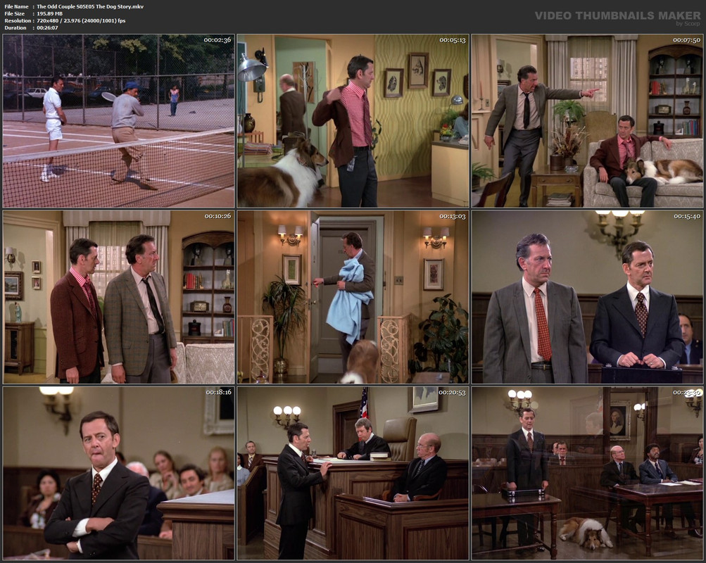 The Odd Couple S05E05 The Dog Story.mkv