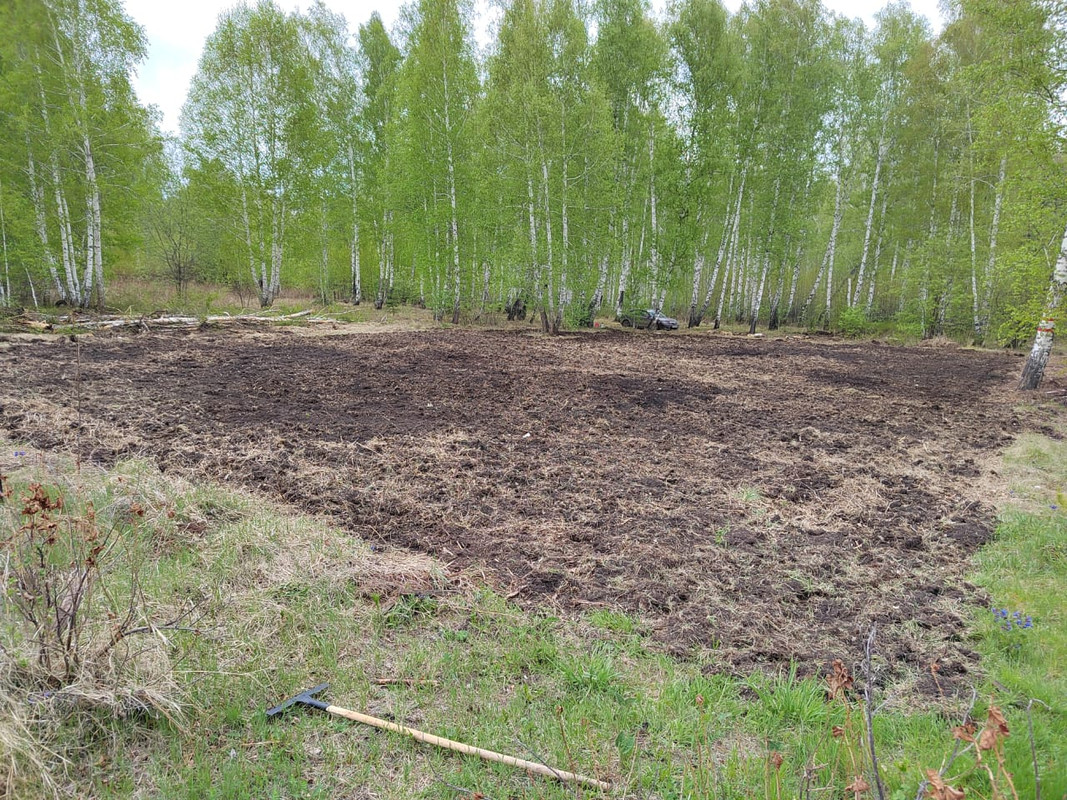 Изображение WhatsApp 2023-05-29 в 12.10.06