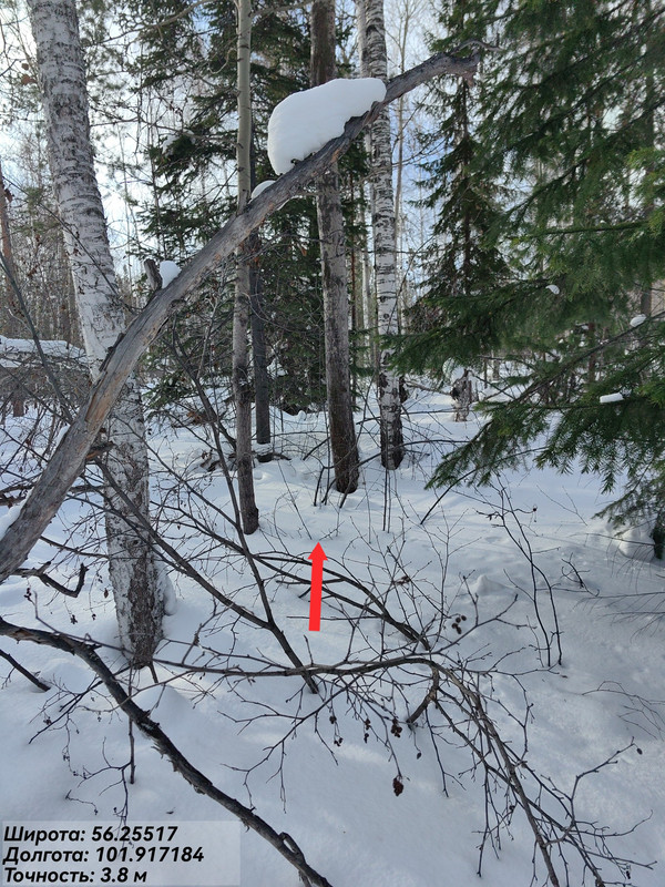 IMG 02297 edit 24182521668274