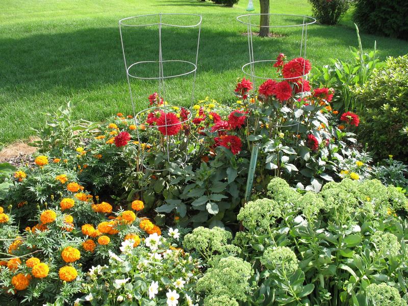 Lawn and Gardens 08.12.2018  (17)