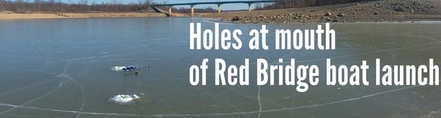 aviary-image-1517609434541