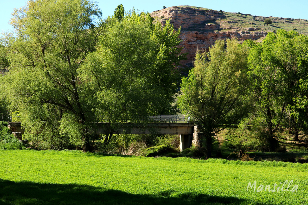 Hoces-del-Riaza-0962