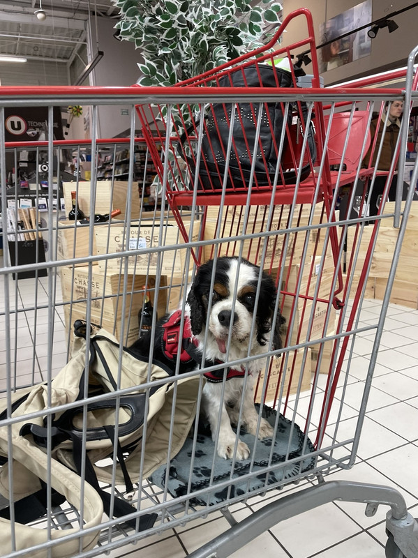 240146B3-1287-428C-B277-A4605C144B3E