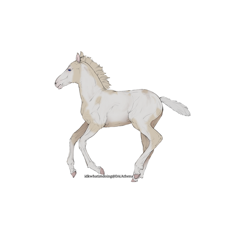 Untitled88-20250415113449.png