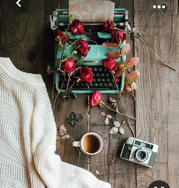 Screenshot_20231015_210116_Pinterest