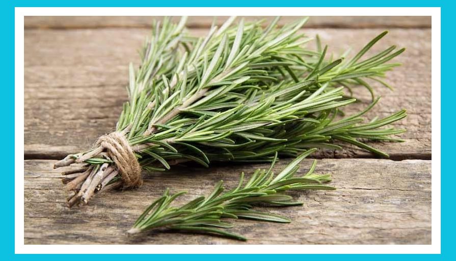 [Изображение: photo-2026-01-20-05-51-16.jpg]