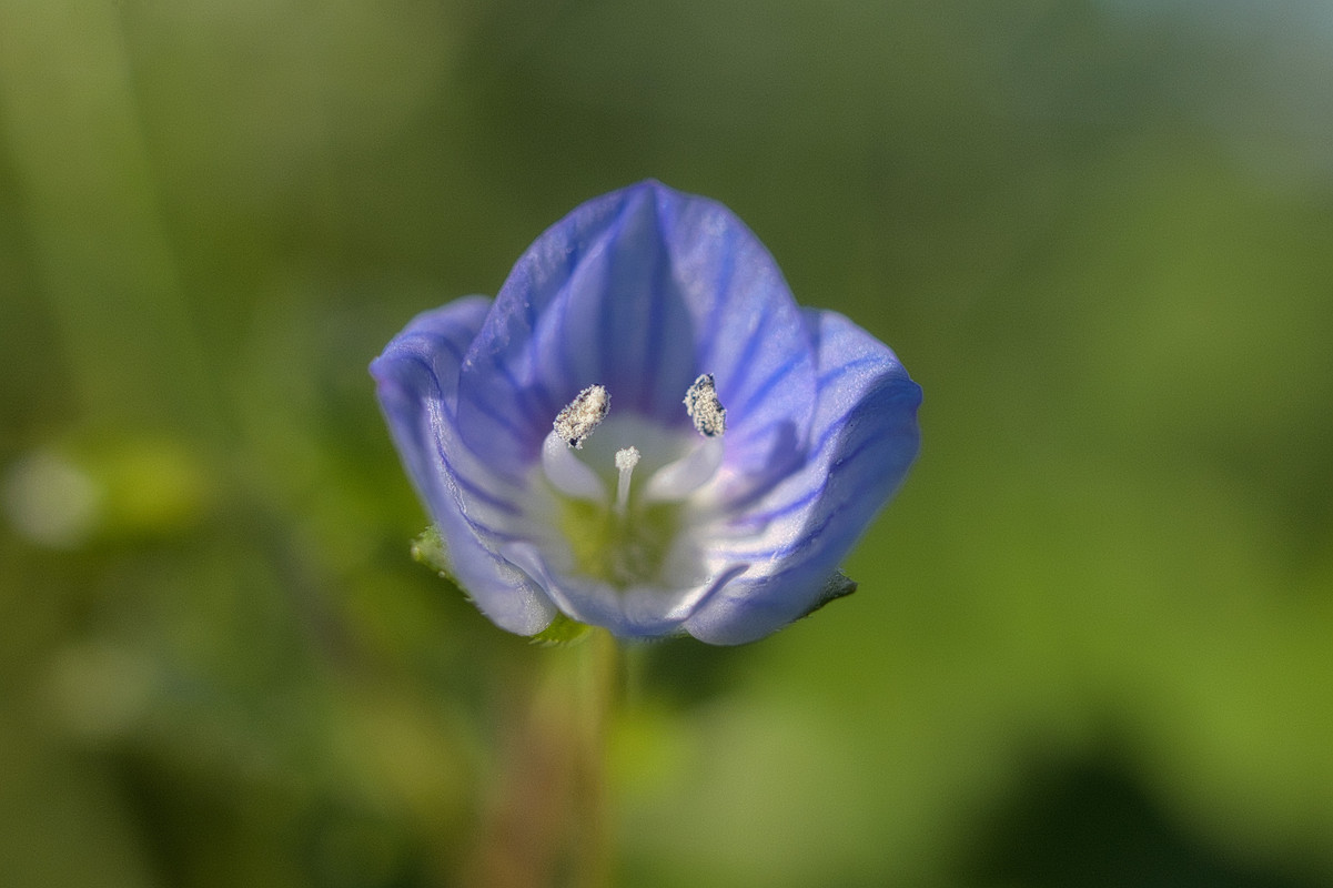 E0824F0A-E314-496A-BF69-9174225B9686